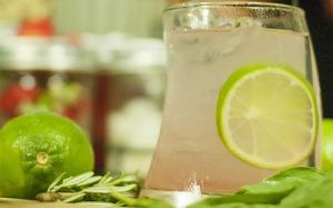 Pinkish clear gin concoction in a bent glass with a slice of lime inside and a whole lime placed next to the glass