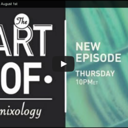  Screenshot of a paused video episode of “The Art of Mixology”